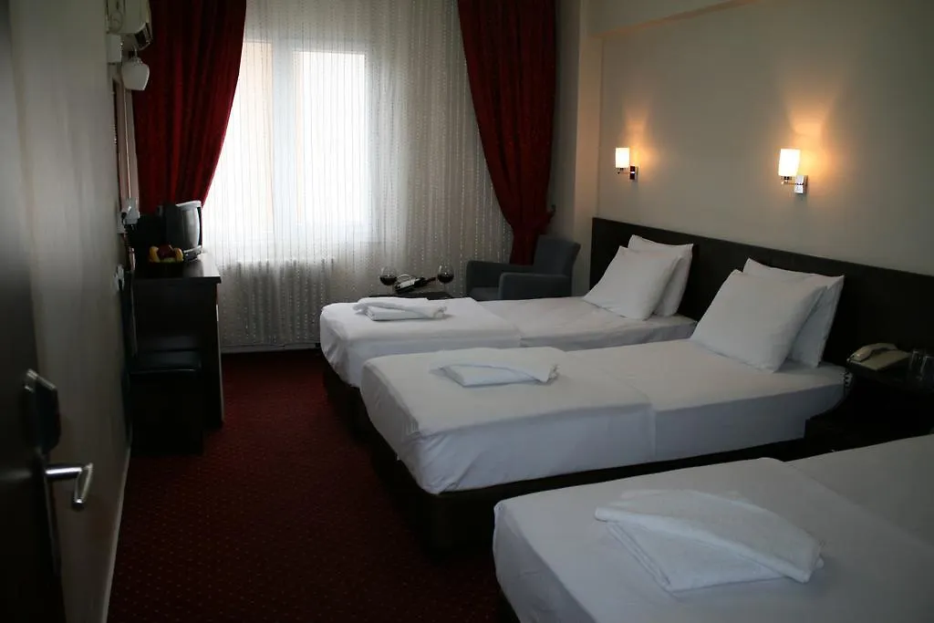 Diana Hotel 이스탄불 2*,
